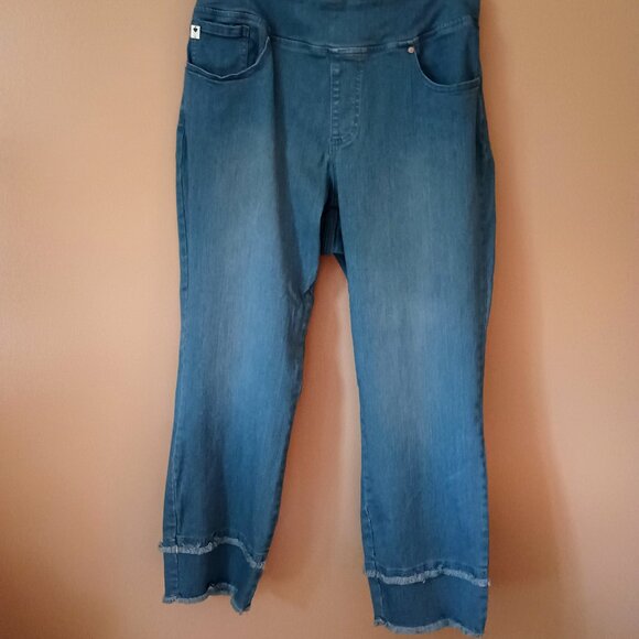 QVC-KIM GRAVEL-TRIPLELUXE-SIZE 16W-DENIM STRAIGHTLEG ANKLE JEAN W/FRINGE ACCENT - Picture 1 of 2